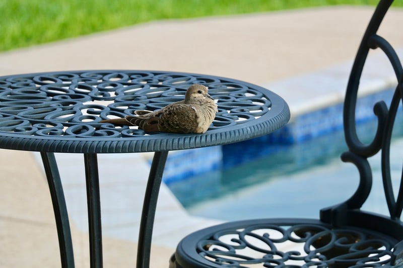 Patio Refurbishing